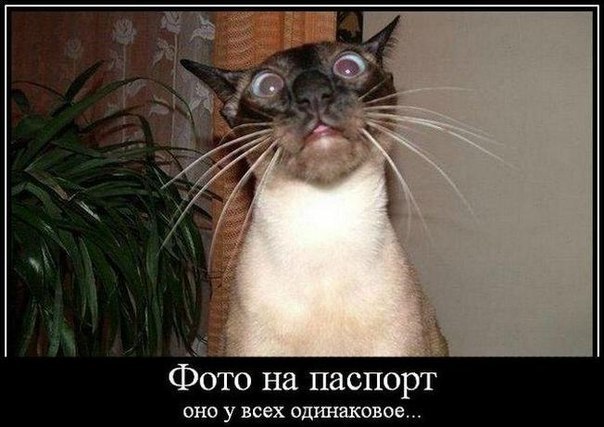 Анастасия Прорвич | Санкт-Петербург