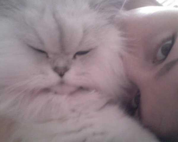 Алёна Важенина Vazhenka | Санкт-Петербург