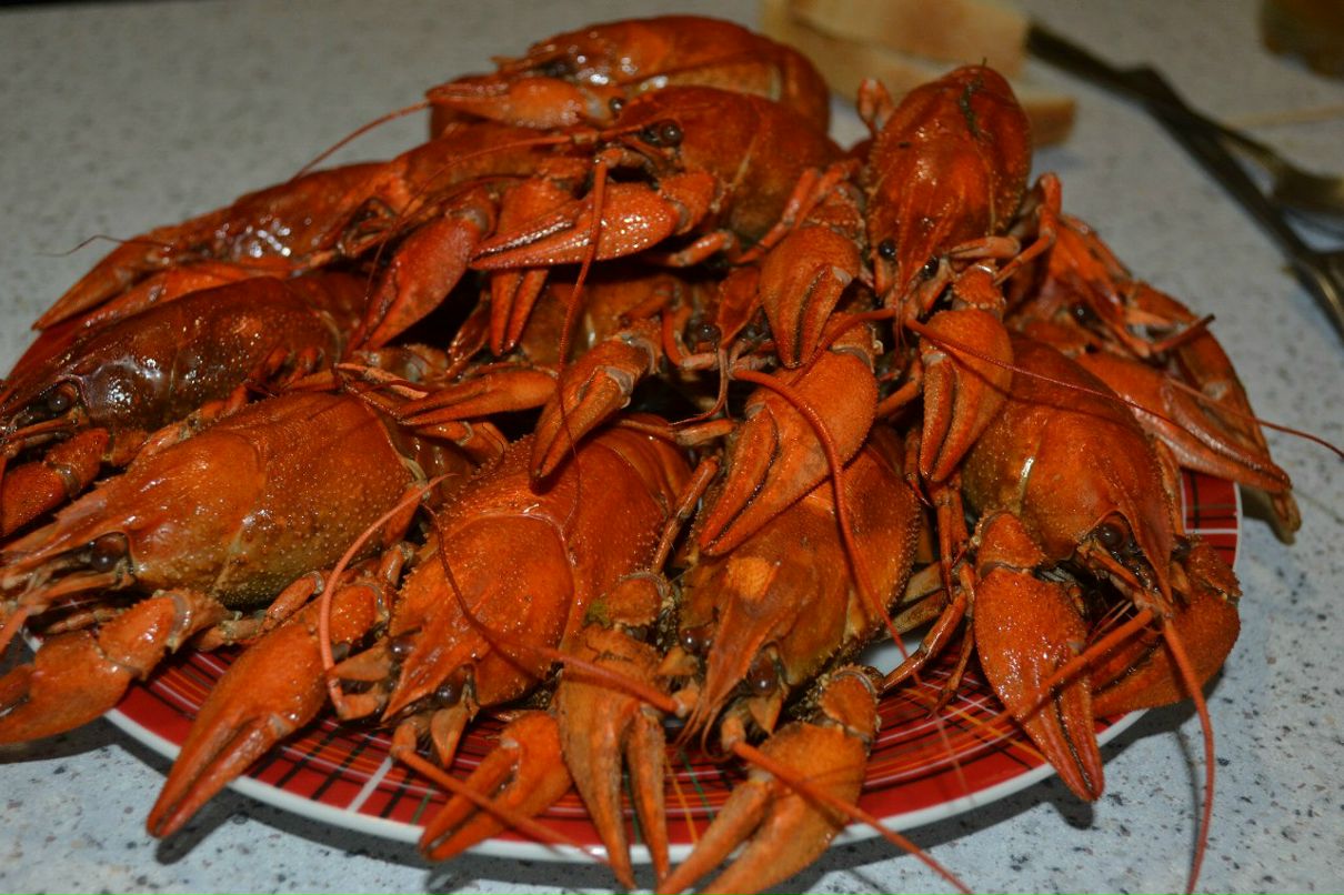 Viktoria Kim | Санкт-Петербург