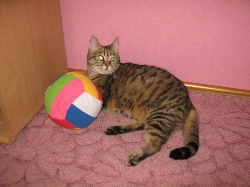 Лена Корниенко | Салават