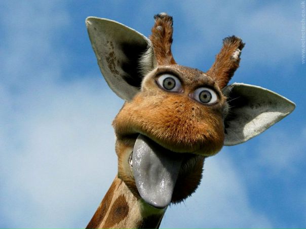 №9, Анюта Тимашева, 35 лет, Запорожье №9, Анюта Тимашева, 35 лет, Запорожье