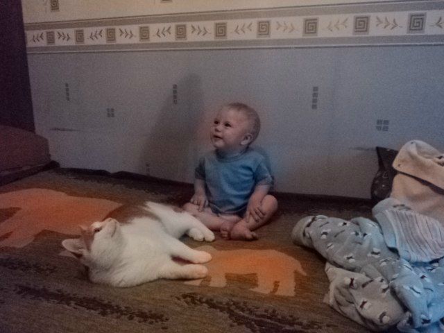 №11, Елена Богрова №11, Елена Богрова