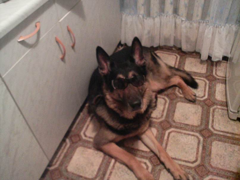 Кристина Шаманина -ГУПИК- | Москва