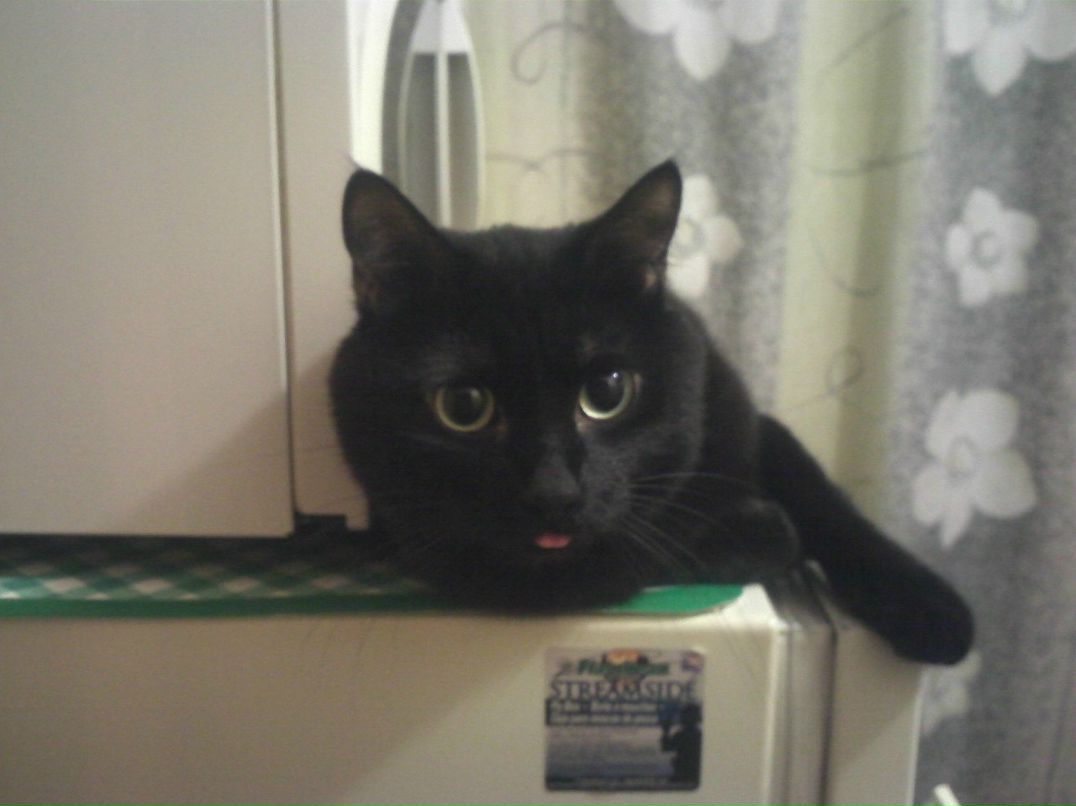 Александр Лалетин | Ангарск