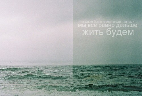 Алиса Амочкина | Краснодар