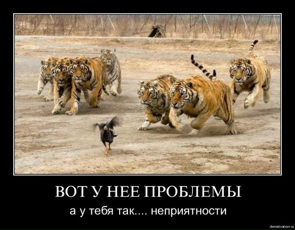 №28, Айбек Жакыпов, 39 лет, Москва, Россия №28, Айбек Жакыпов, 39 лет, Москва, Россия