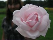 №6 Даша Нетылькина : профиль, фото, статус - ВКонтакте №6 Даша Нетылькина : профиль, фото, статус - ВКонтакте