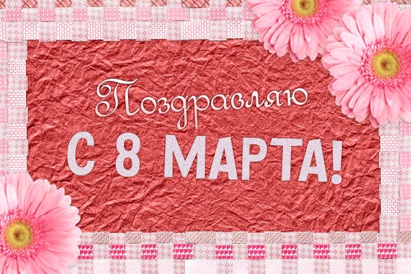 №14, Галя Цыганкова №14, Галя Цыганкова