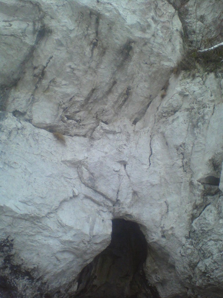 Владислав Шентенков | Екатеринбург