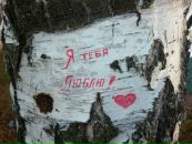 №6 Мила Силаева : профиль, фото, статус - ВКонтакте №6 Мила Силаева : профиль, фото, статус - ВКонтакте