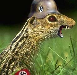 Валентин Дубровин | Санкт-Петербург