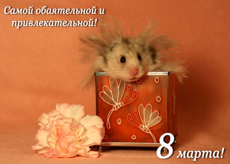 Ирина Кассихина | Балаково