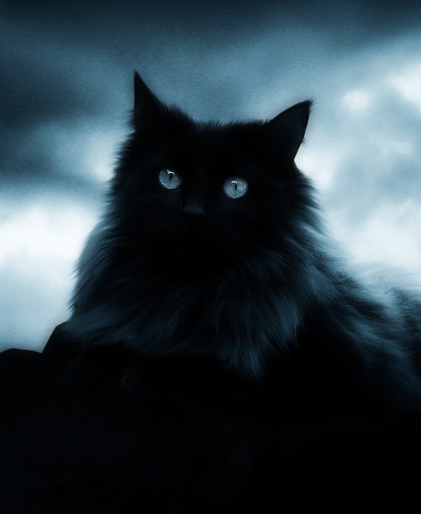 Дмитрий Дашковский | Херсон