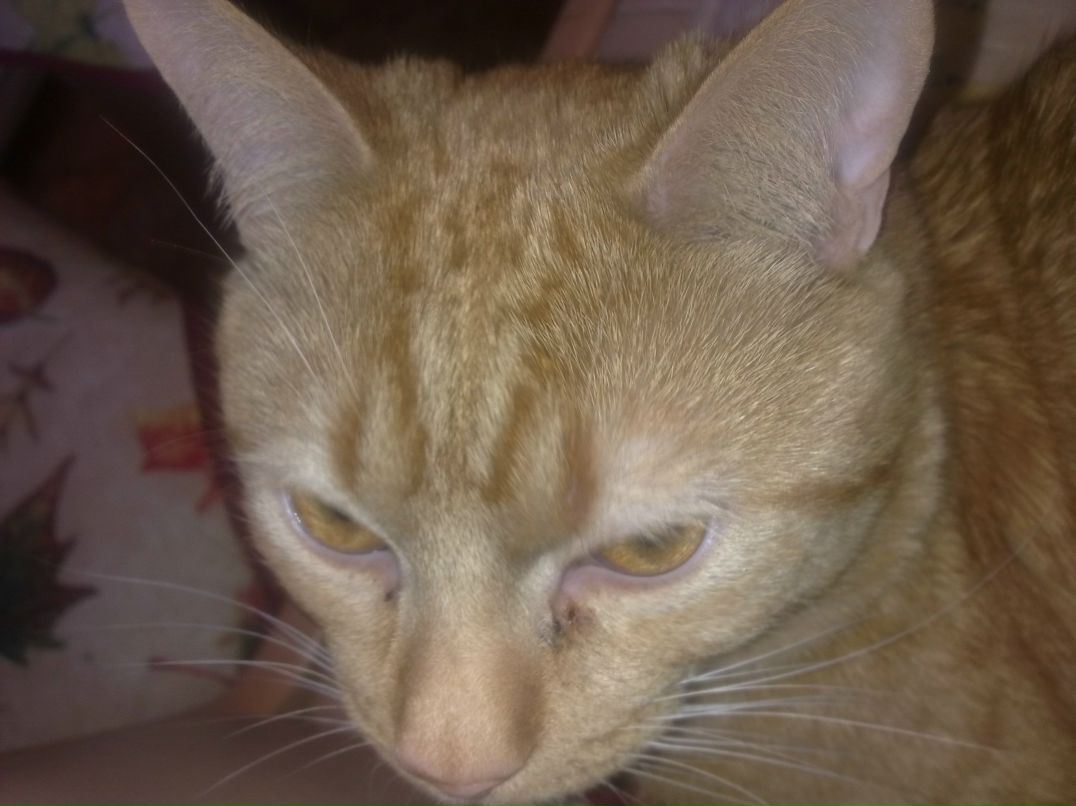 Андрей Васильев | Санкт-Петербург