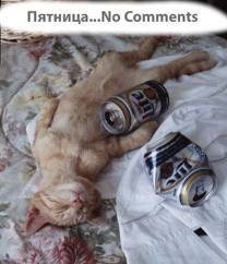 Анна Рыбка | Зеленогорск