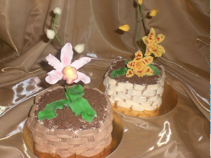 Анастасия Кизимова | Каменское / Днепродзержинск