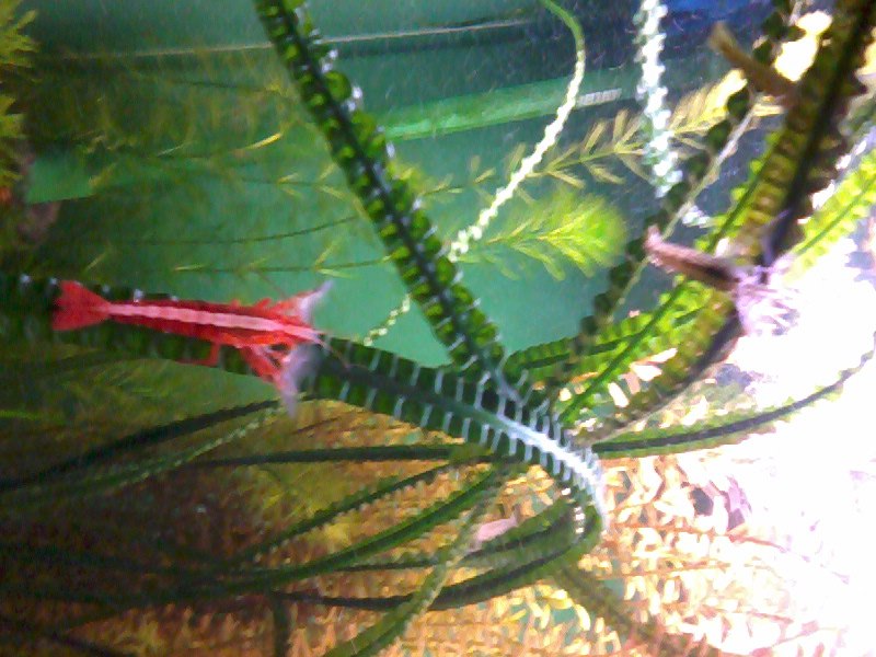 Татьяна Баранова | Санкт-Петербург