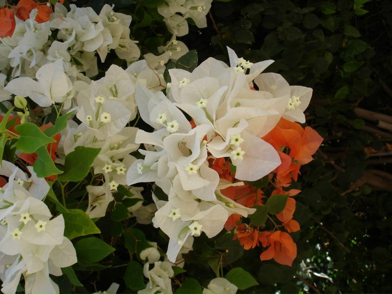 Валентина Постнова | Вытегра