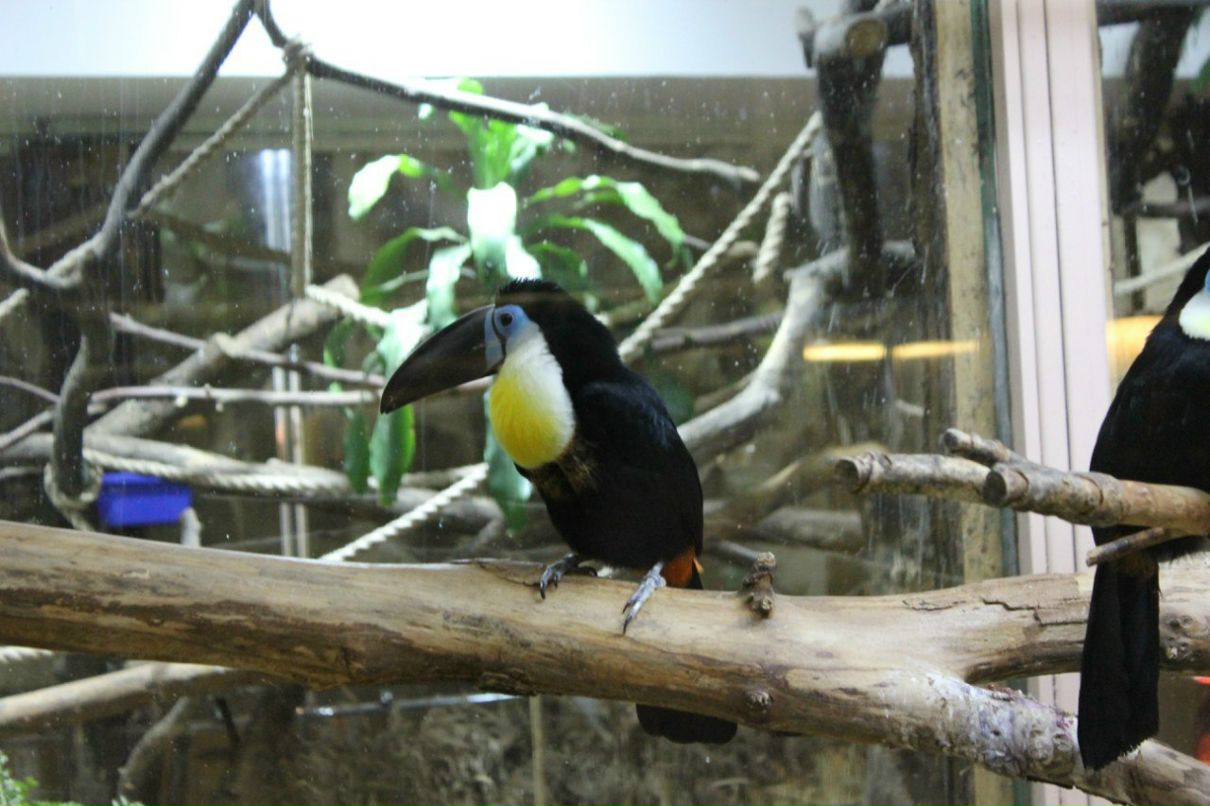 Екатерина Голубенко | Санкт-Петербург