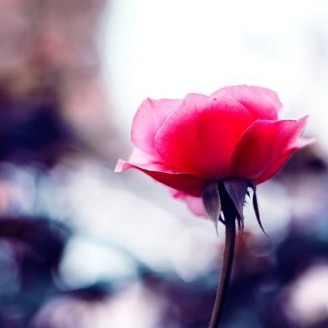 Сумая Исмаилова | Набережные Челны