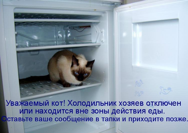 Оксана Креминская krox | Киев