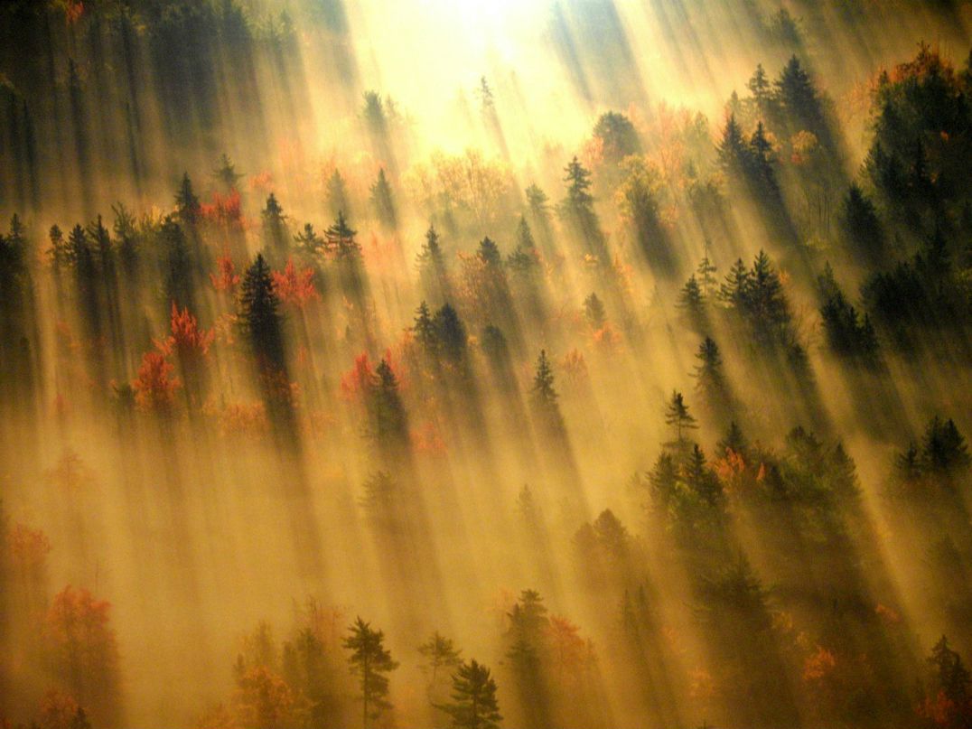 Дина Гапина | Санкт-Петербург