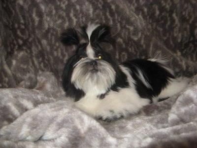 Данила Zhdanov D@Z | Невьянск