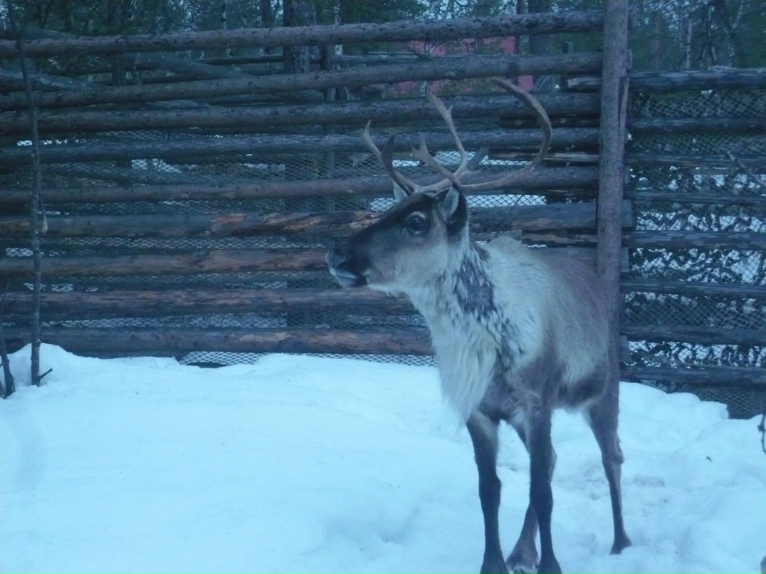Юлька Васильева | Мурманск