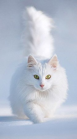 Алексей Белоус | Могилёв