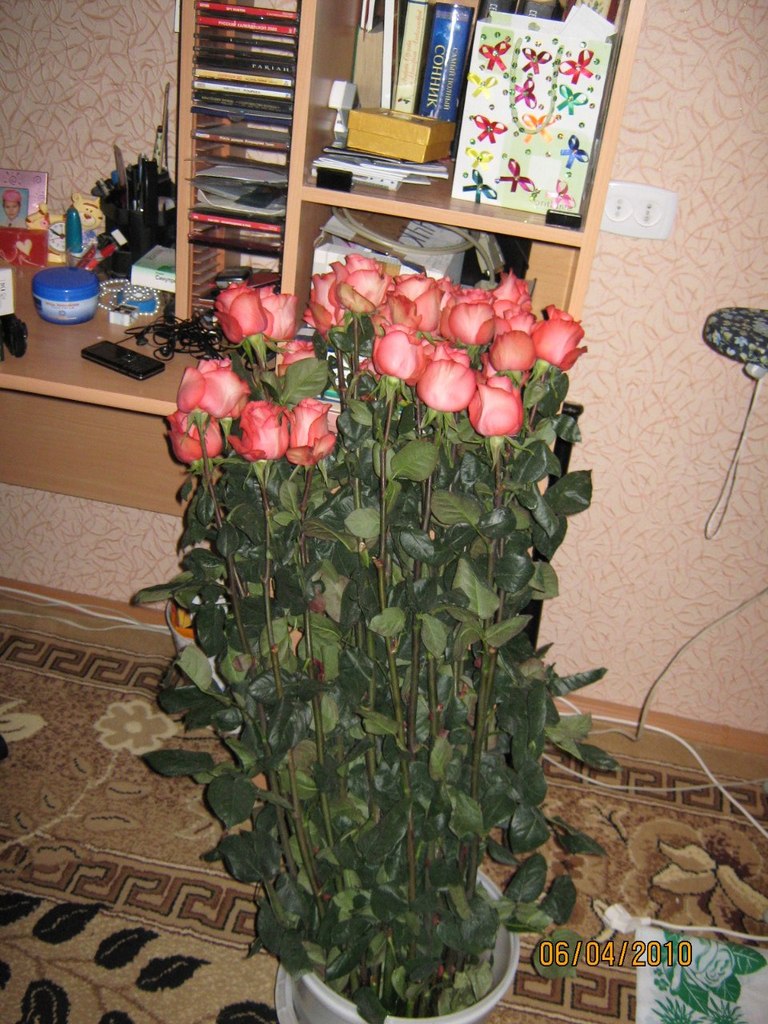 Вера Костенко | Челябинск