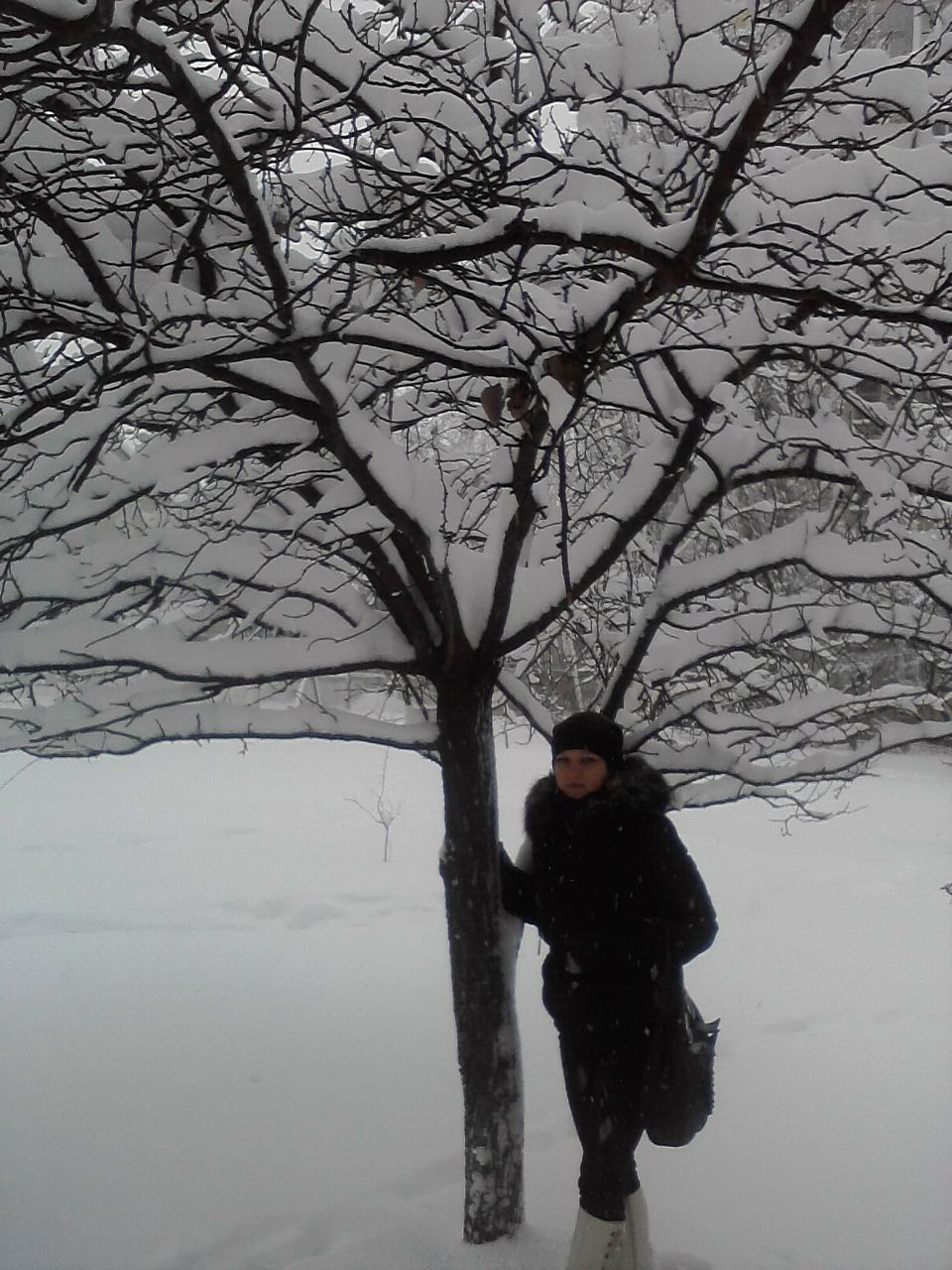 Екатерина Мойсеенко | Чернигов