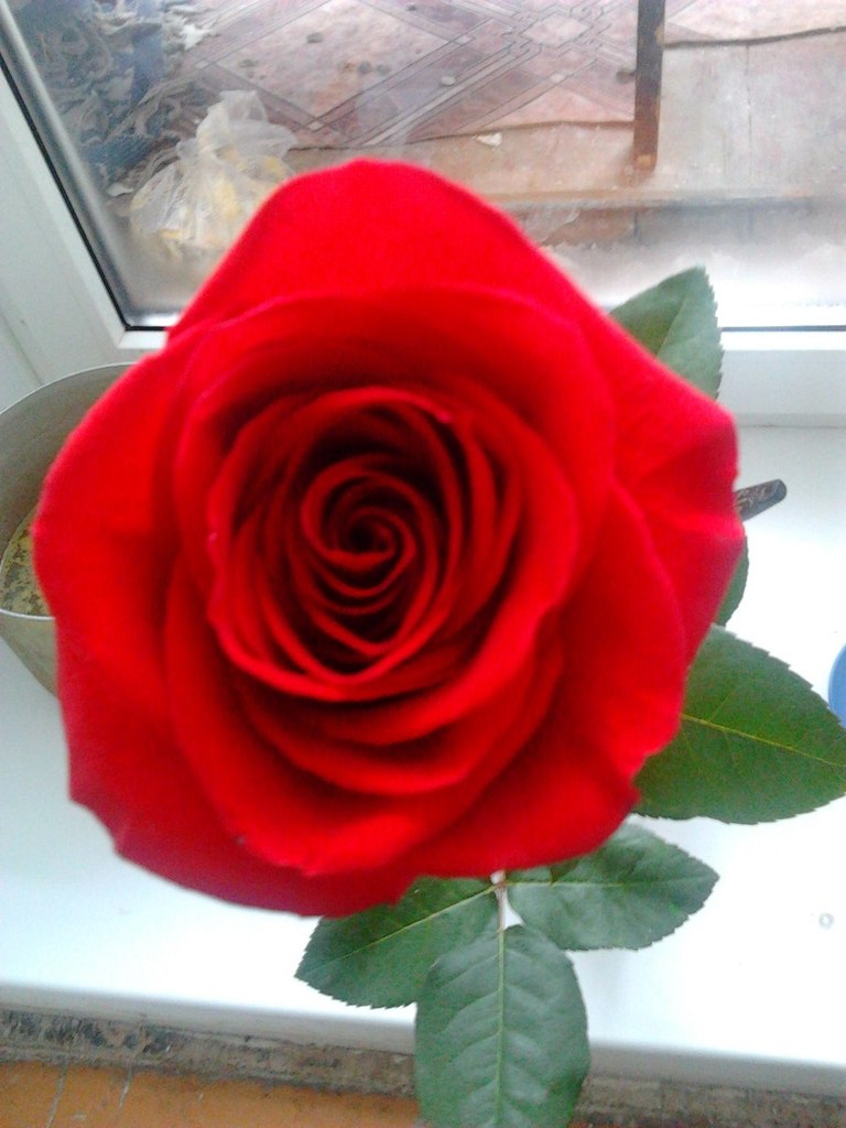 Яна Лукьянова | Салават