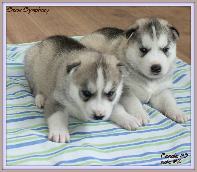 Юлия Гурьева | Уфа