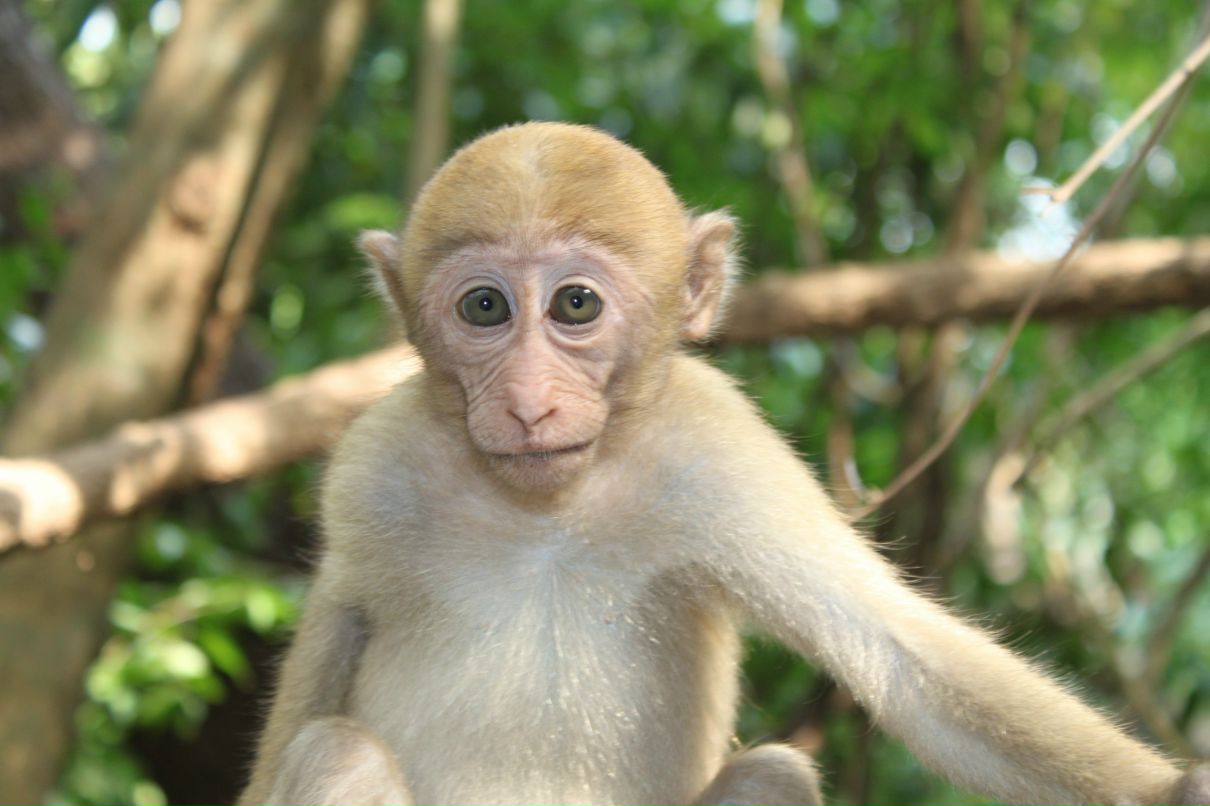 Юлия Бокушева | 