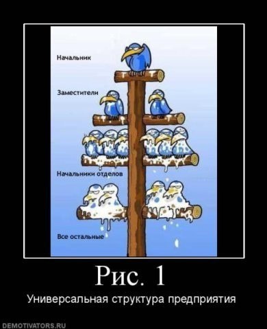 Виктория Белоусова | Иркутск