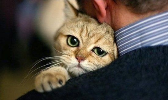 Анастасия Подолинская | Пермь