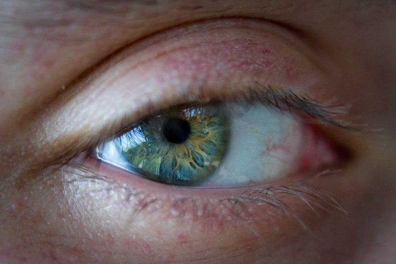 Vladimir Konoplev | Санкт-Петербург