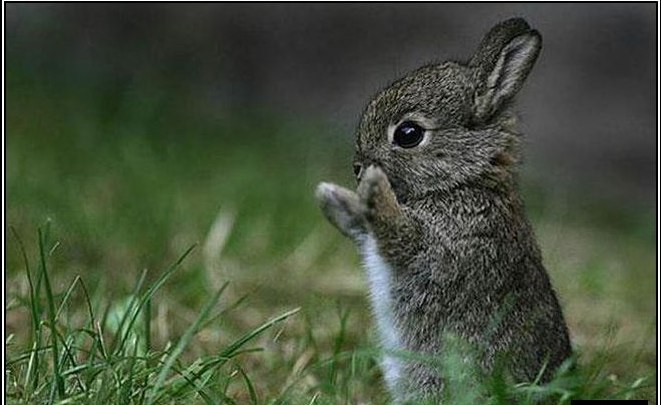 Михаил Морозов | 