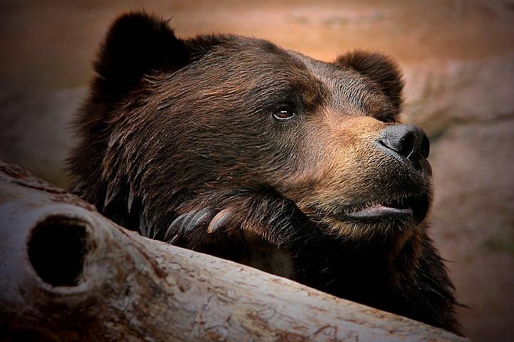 Сергей Стёпин | Вологда