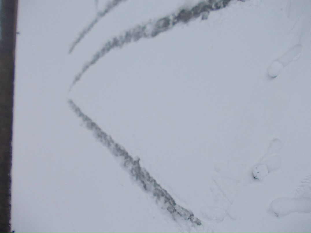 Влад Азаров ~$u$~ | 