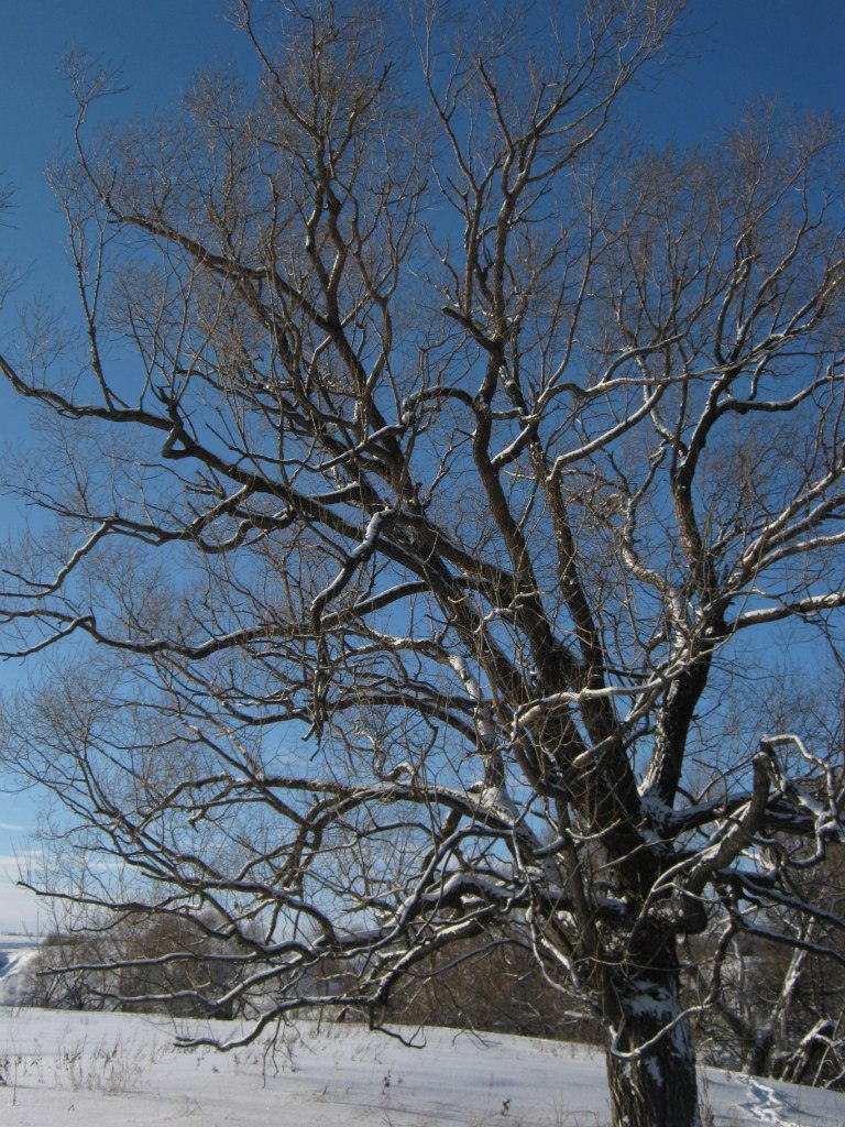 Илья Лутовинов | Чехов-2