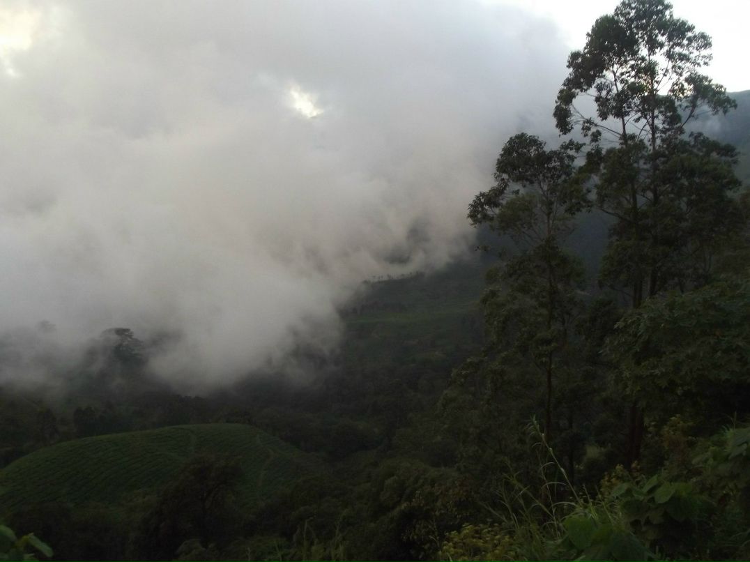 Игорь Гоголев | Тель-Авив