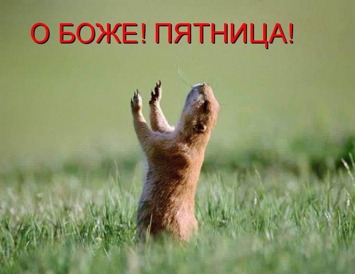 Сергей Хурматулин | Екатеринбург