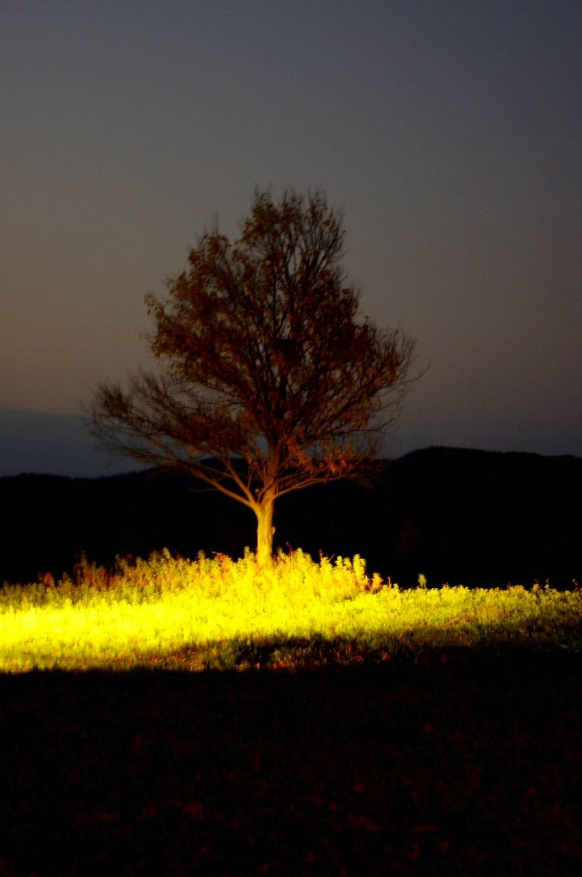 Евгений Стриж | Самара