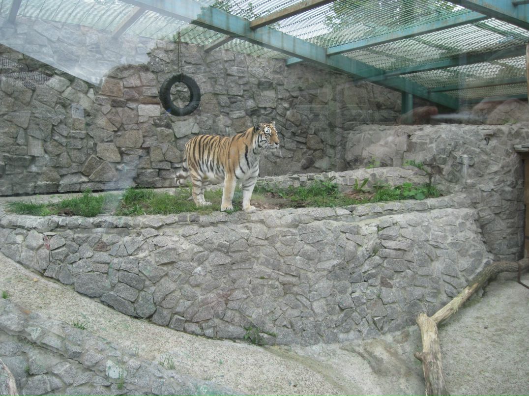 Антон Иванов | Дно