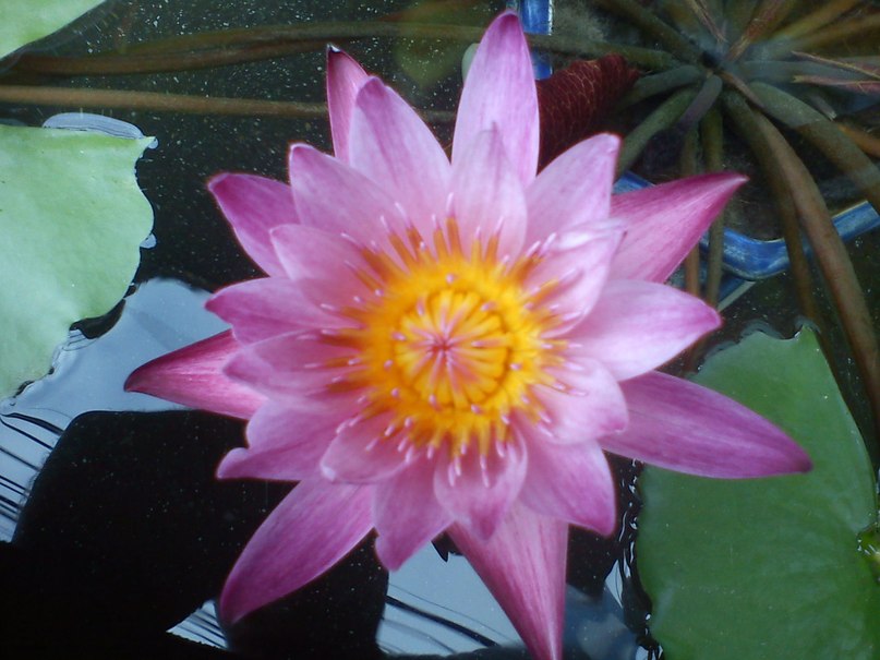 Сергей Толоконников | Москва