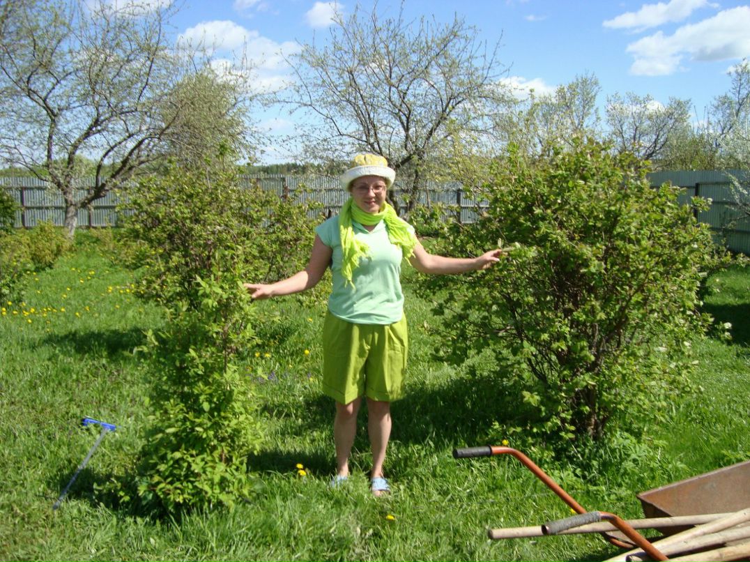 Надежда Иванова | Москва