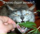 №7 Светлана Потапова : профиль, фото, статус - ВКонтакте
