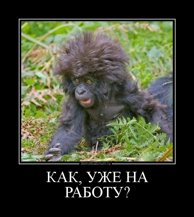 Айгуль Нестеренко | Москва