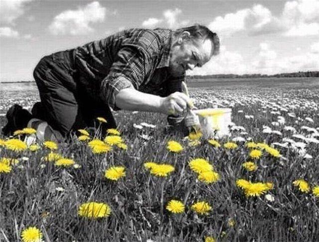 Сергей Соловьев | Санкт-Петербург